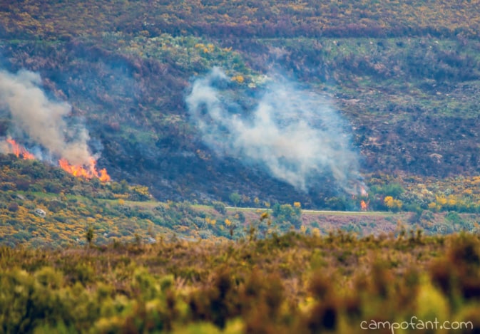 Feuer in Portugal