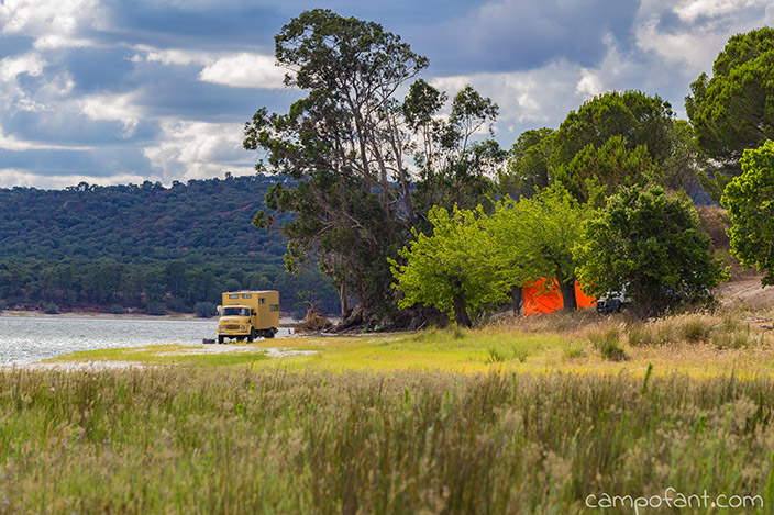 Strandcamping Montargil Stausee, Tierarztbesuch