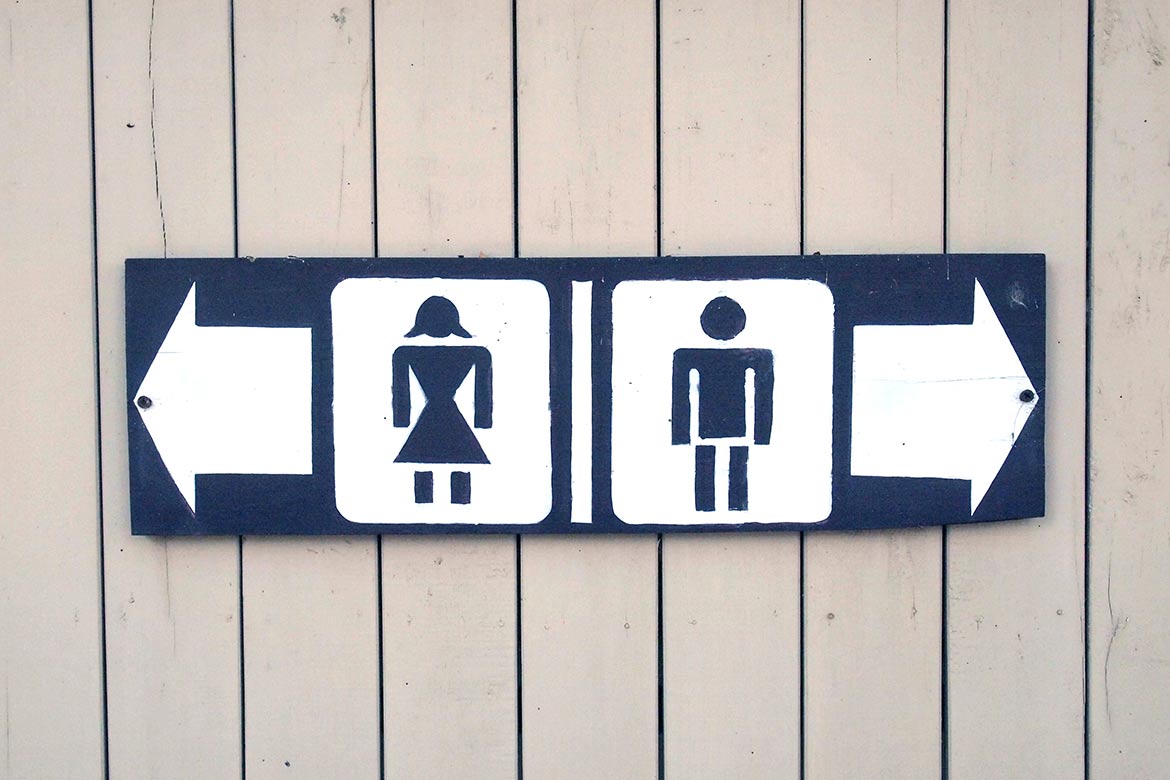 Chemietoilette, Sanitärflüssigkeit, SOG, Co